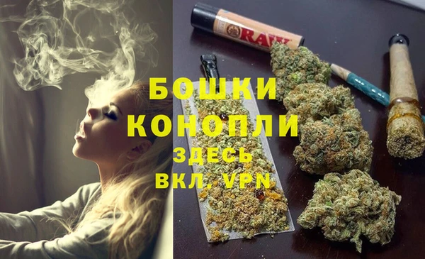 сатива Абаза