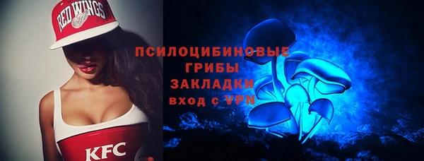сатива Абаза