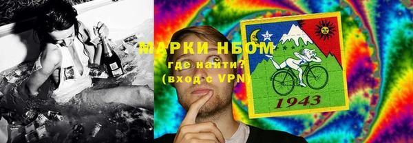 сатива Абаза