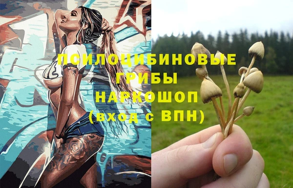 СК Абинск