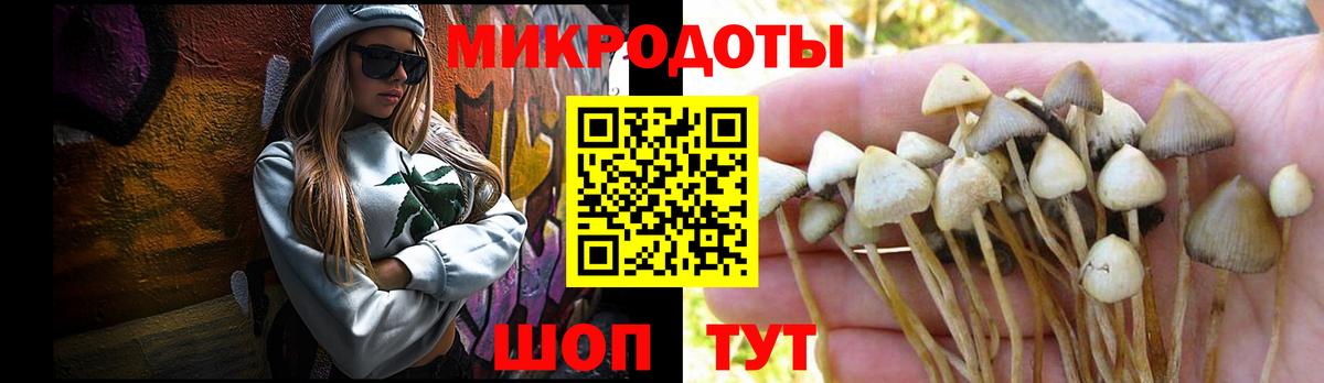 Галлюциногенные грибы прущие грибы Татарск
